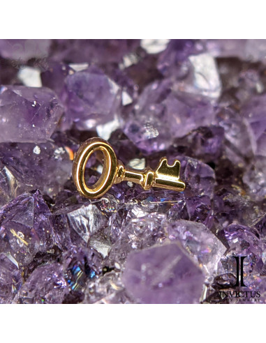Clef Invictus en titane pvd or 24 carats - threadless