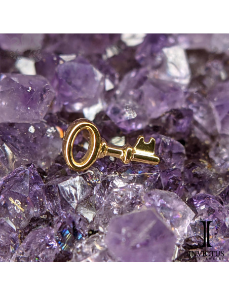 Clef Invictus en titane pvd or 24 carats - threadless