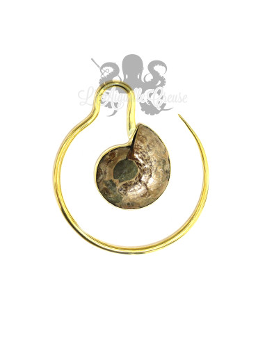 Paire de poids en bronze fossiles d'Ammonites