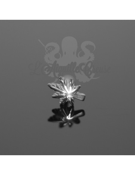 Bijou de cartilage Feuille