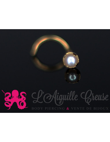 Stud Or 14k orné d'une perle de culture