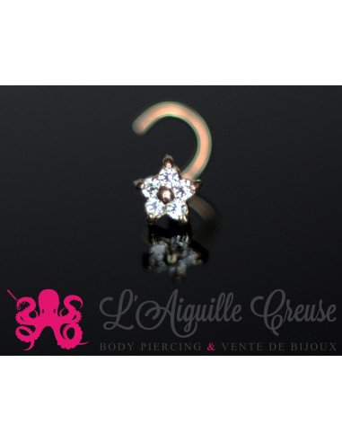 Stud Or 9k, orné d'une fleur en zircon