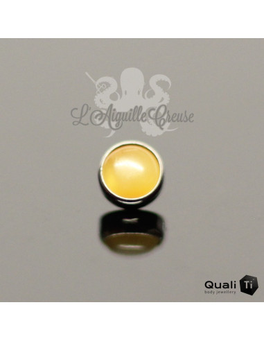 Cabochon d'Ambre jaune QualiTi en titane - pour 1.2 mm
