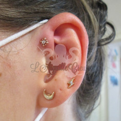 Cristal Swarovski en titane pvd or rose pour 1 ou 1.2 mm 2