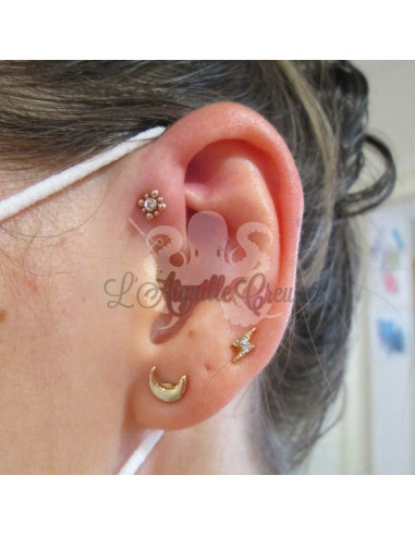 Cristal Swarovski en titane pvd or rose pour 1 ou 1.2 mm