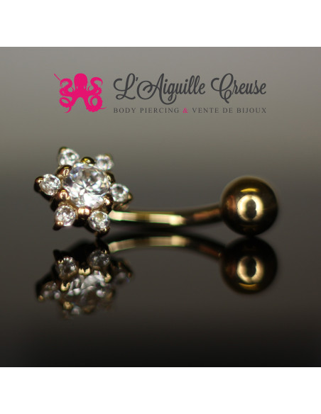 Bijou en Or & Zircon rond