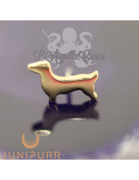 Teckel en or jaune 14 carats Threadless Junipurr