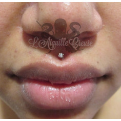 Zircon clipable & labret en bioplast 2