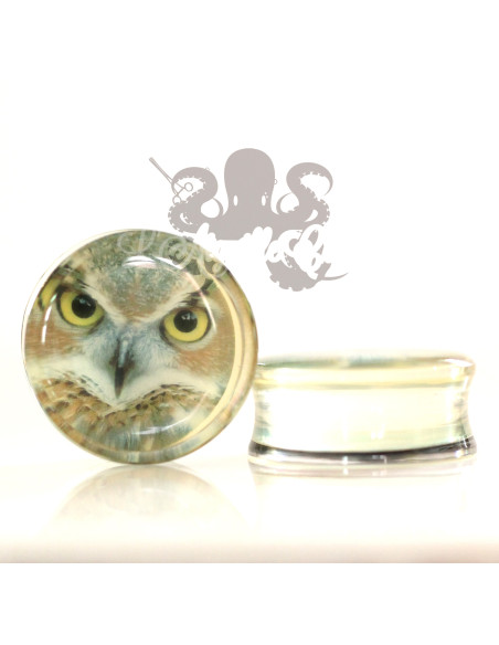 Hibou en acrylique