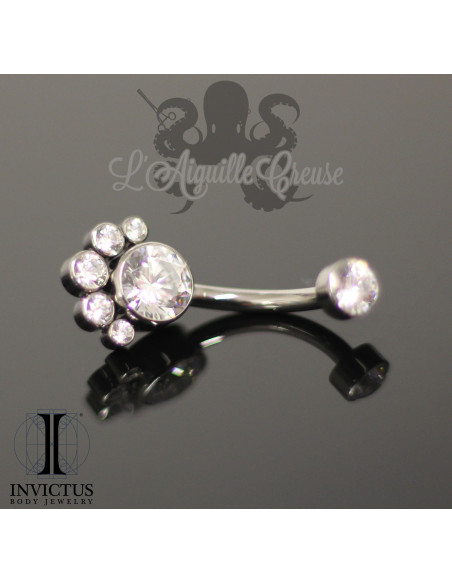 Bijou de nombril Invictus en Titane implantable