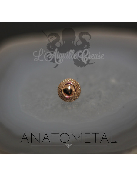 Accessoire Hera End ANATOMETAL 5 mm en or rose 18 carats pour 1.6 mm