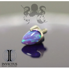 Accessoire Invictus en titane et pierre synthétique , pour 1.6 mm 2