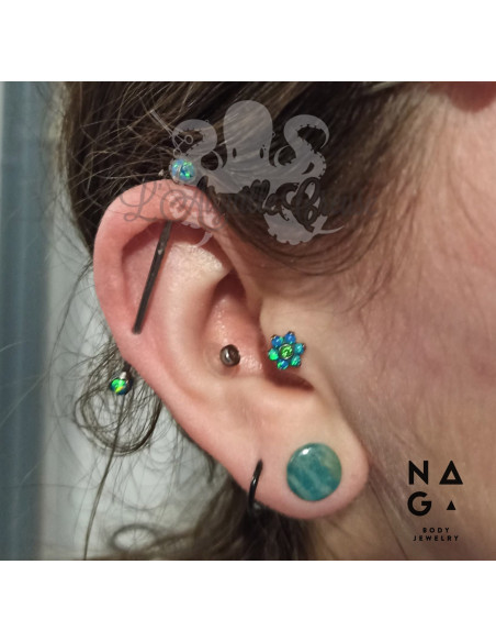 Paire de plugs en Amazonite - NAGABodyJewelry