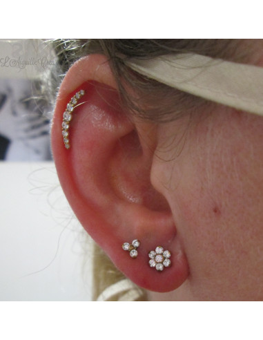 Cluster en acier chirurgical pvd or 24 k & Swarovski