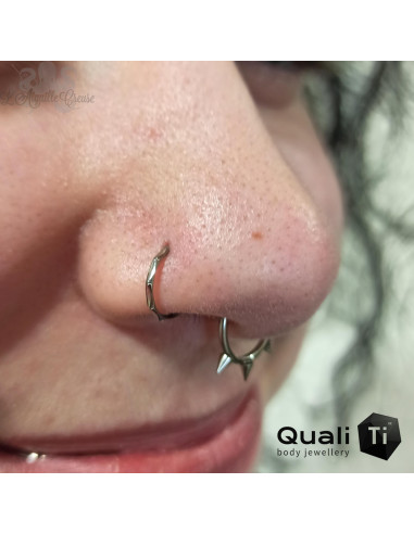 Anneau segmenté et Spike en titane QualiTi , ouverture facile