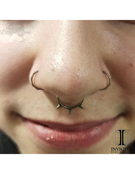 Anneau segmenté bamboo en titane Invictus, ouverture facile - 1 mm