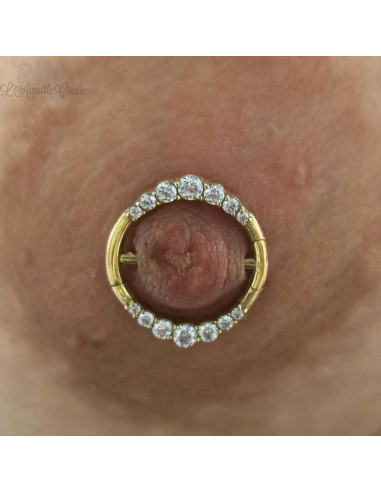 Bijou de téton pvd or double clickers
