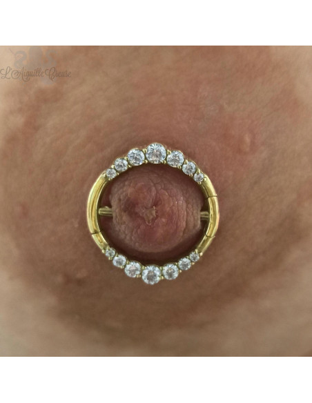 Bijou de téton pvd or double clickers