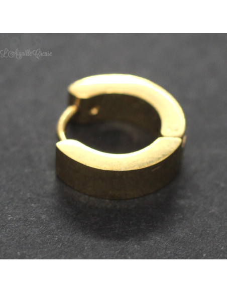 Boucle d'oreille pvd or