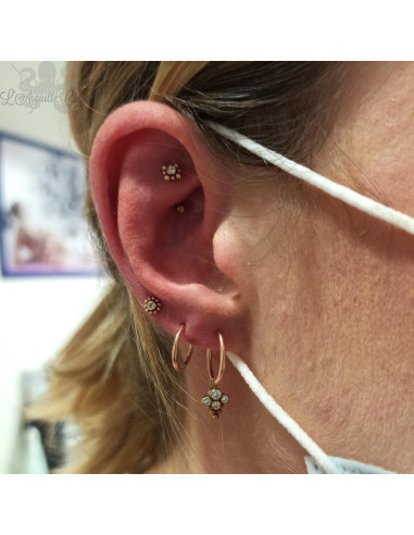 Cristal Swarovski en titane pvd or rose pour 1 ou 1.2 mm