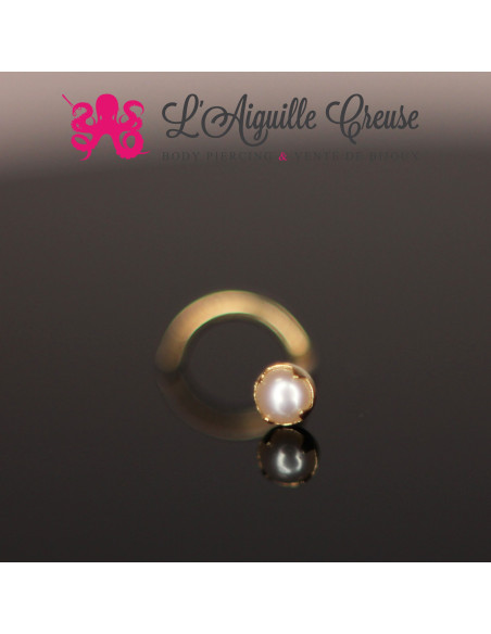 Stud Or 14k orné d'une perle de culture