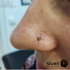 Cabochon d'Oeil de tigre QualiTi en titane - pour 1.2 mm 2