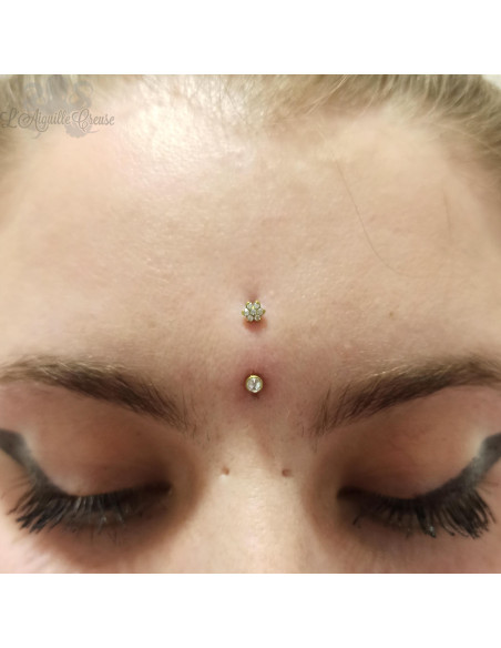 Accessoire QualiTi en zircon blanc et titane - pour 1.6 mm