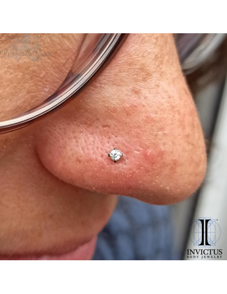 Zircon griffé Invictus en titane - threadless