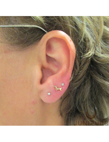 Teckel en or jaune 14 carats Threadless Junipurr