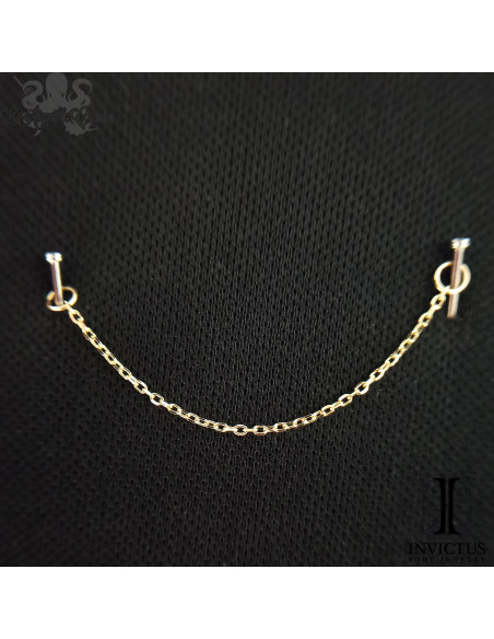 Chainette de 2 mm d'épaisseur en or jaune 14 carats Invictus