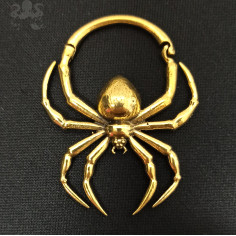 Paire de poids en bronze Araignée, fermeture articulée