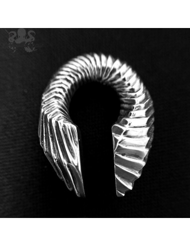 Paire de poids en bronze blanc