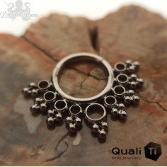 Anneau segmenté en titane QualiTi