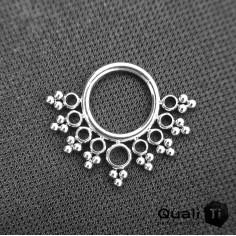 Anneau segmenté en titane QualiTi 2