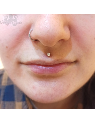 Swarovski griffé & labret pvd or rose